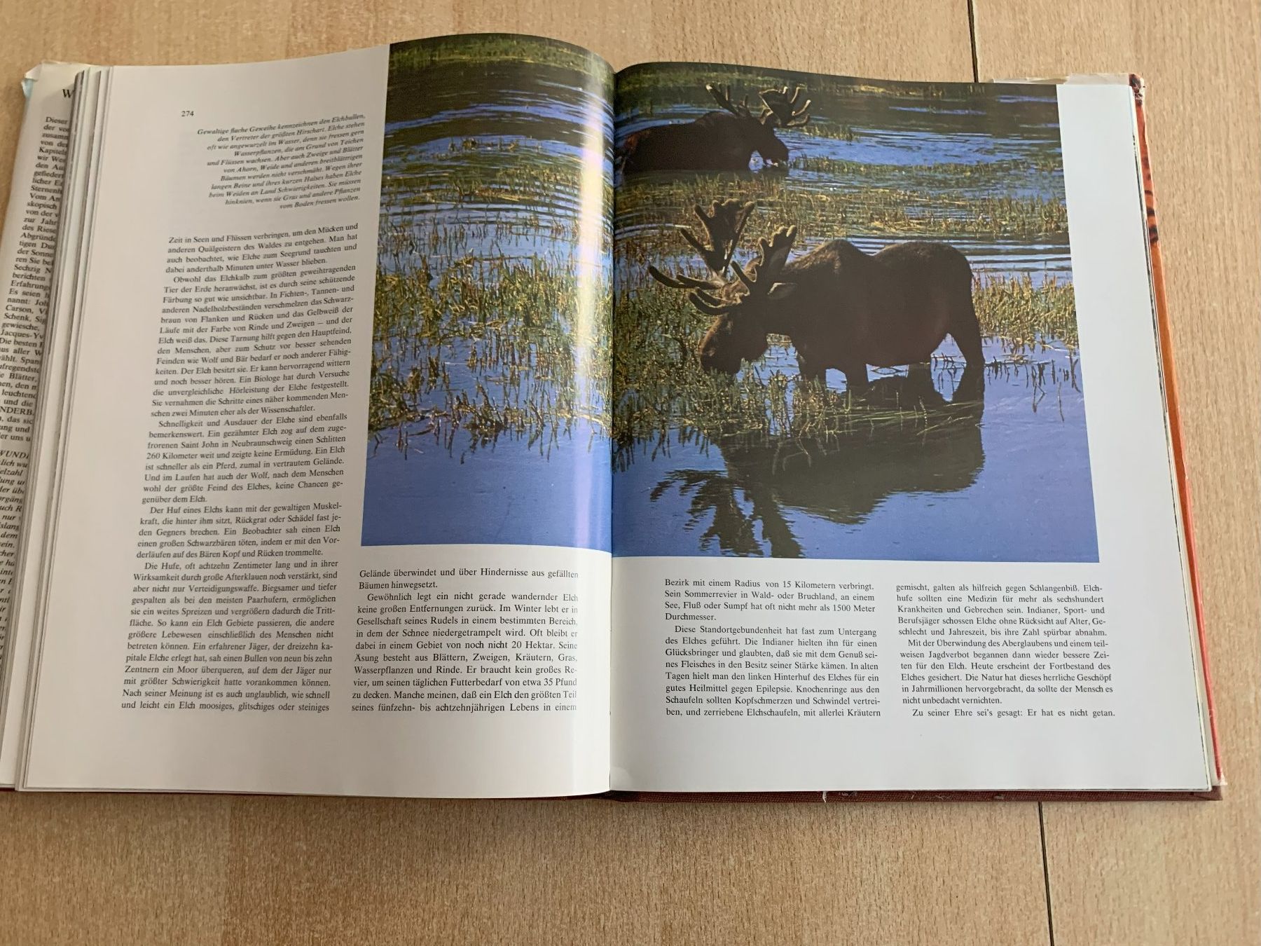 Libri: Wunderbare Welt der Natur Reader's Digest – Usato da Reinach BL venduto da Grolifcb 7
