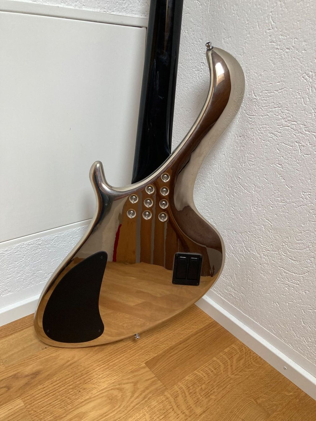 Strumenti musicali: Ritter Seal 5 "Silverbody" E-Bass – Usato da Winterthur venduto da Bagheera74 3