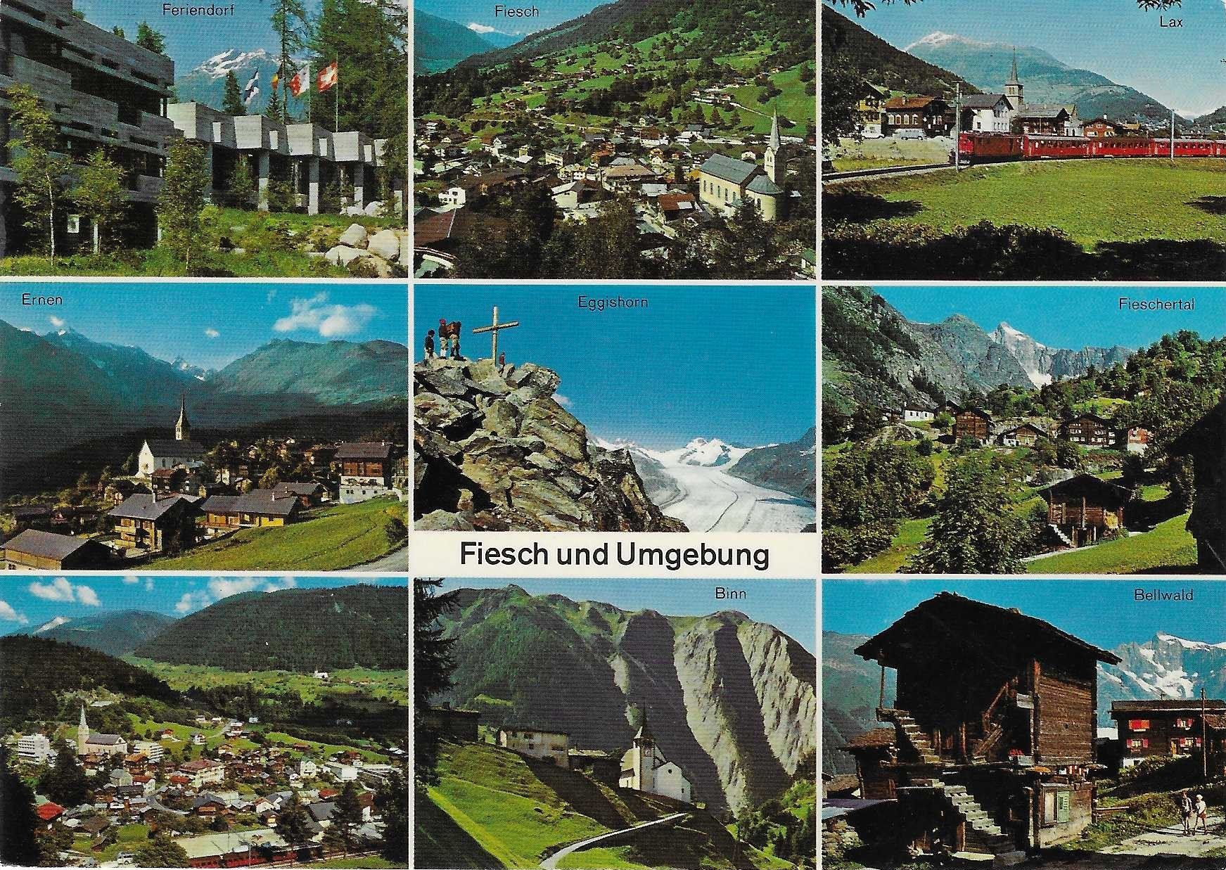 Cartoline postali: Fiesch und Umgebung VS – Nuovo (secondo la descrizione) da Rothrist venduto da Stranglehold