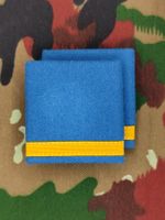 Schulterpatten Ord. 1995 Major Set