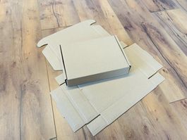 200x Faltbarer Versandkarton Post Norm WebStamp 25x17x4.7cm