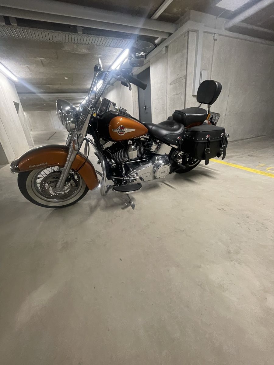 Harley-Davidson Chopper: Harley Davidson FLSTC – Gebraucht aus Huttwil von boumi06 9