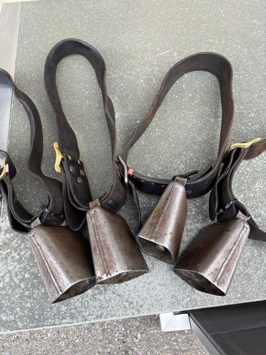 Campanacci mucche: 4x Gotthardt NR 4. – Usato da Schangnau venduto da Roseggli82 7