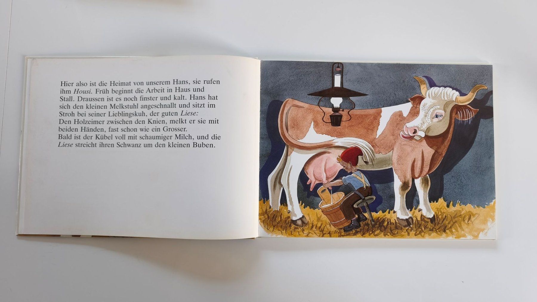 Libri: Bilderbuch: Der Bueb vom Trueb – Usato da Lenzburg venduto da Dani_Lenzburg 2