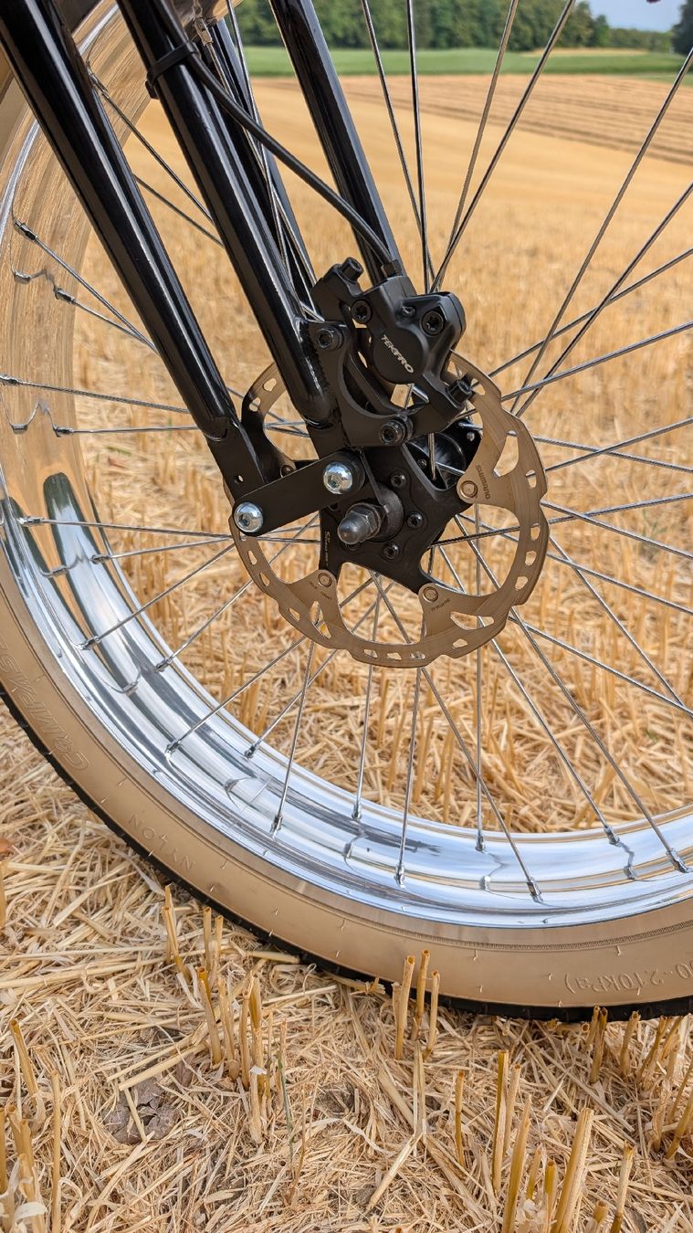 Velos: Exklusives e-Rats Custom Cruiser E Bike mit Springergabel – Gebraucht aus Egolzwil von Schaermike 4
