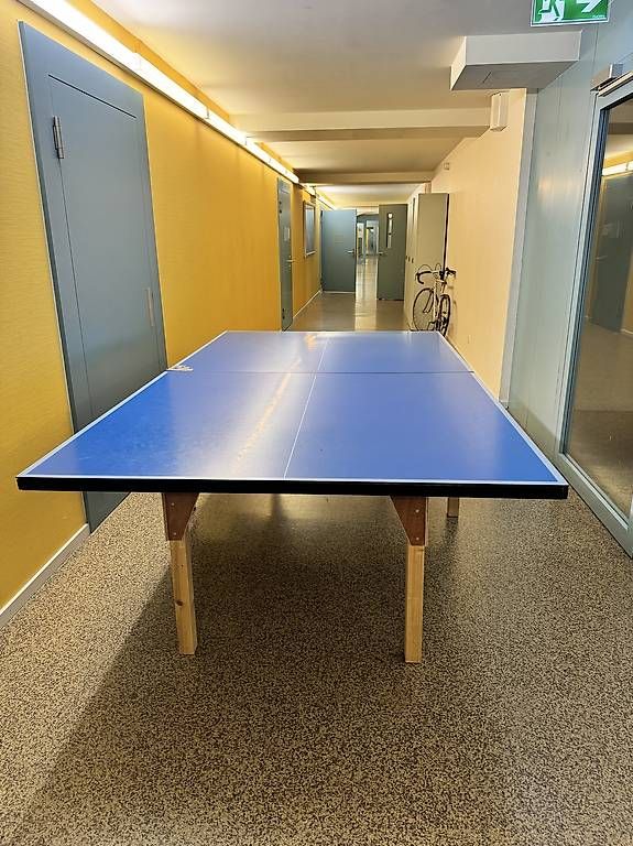 Tischtennis: Tischtennis-Platte – Gebraucht aus Basel von dyl_mz2m