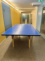 Tischtennis-Platte