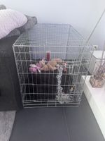 Hundebox Metall Gitter zu verkaufen