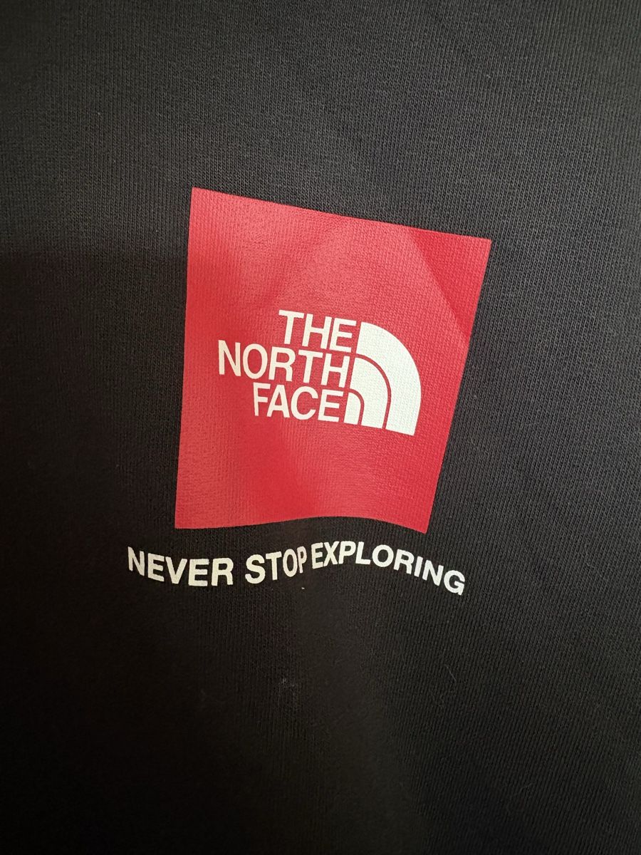 North Face Maglioni & Felpe: NORTH FACE sweat capuche – Usato da GENEVE venduto da mchb 2