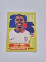 Panini Timothy Weah USA 12