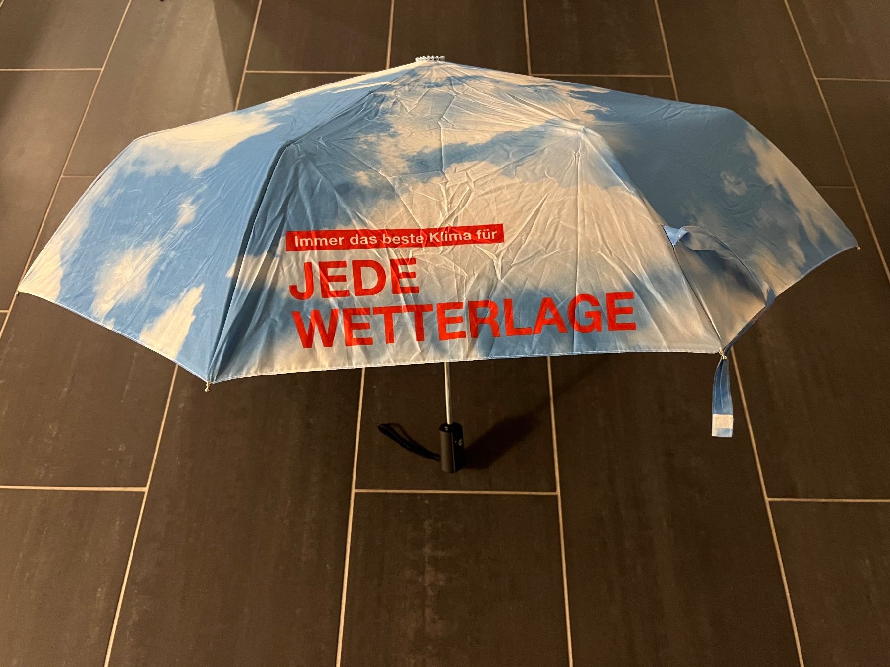 Ombrelli: 2 Regenschirmknirpse – Nuovo e nell'imballaggio originale da Aarau venduto da Swifty03 1