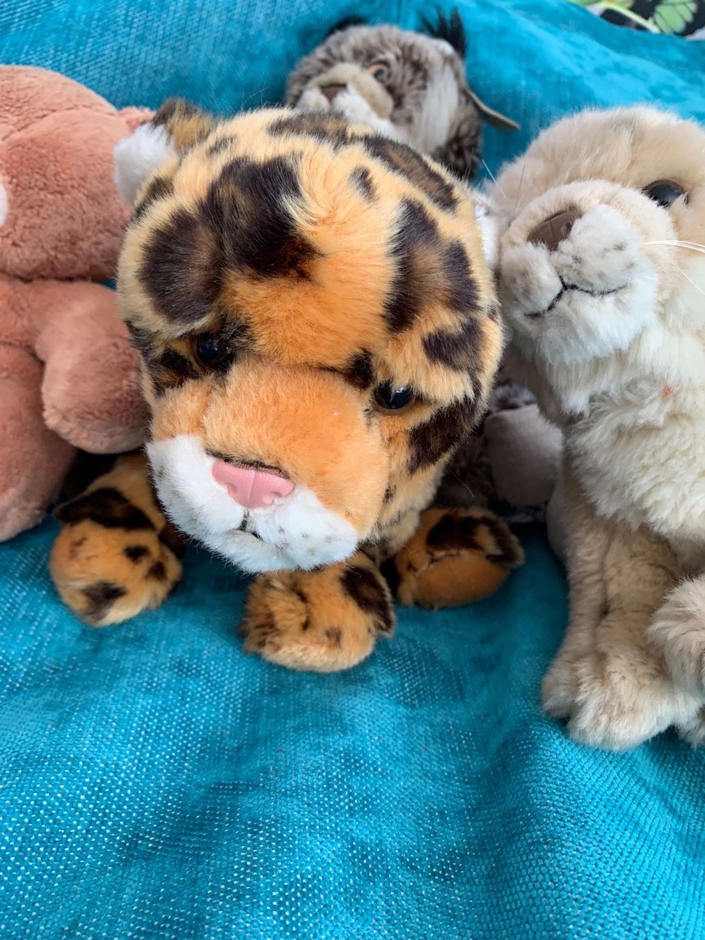 WWF Spielzeuge: WWF Kuscheltier Sammlung: Löwe, Tiger, Bär, Zebra & Co. – Gebraucht aus Meiringen von Jackwashere 2