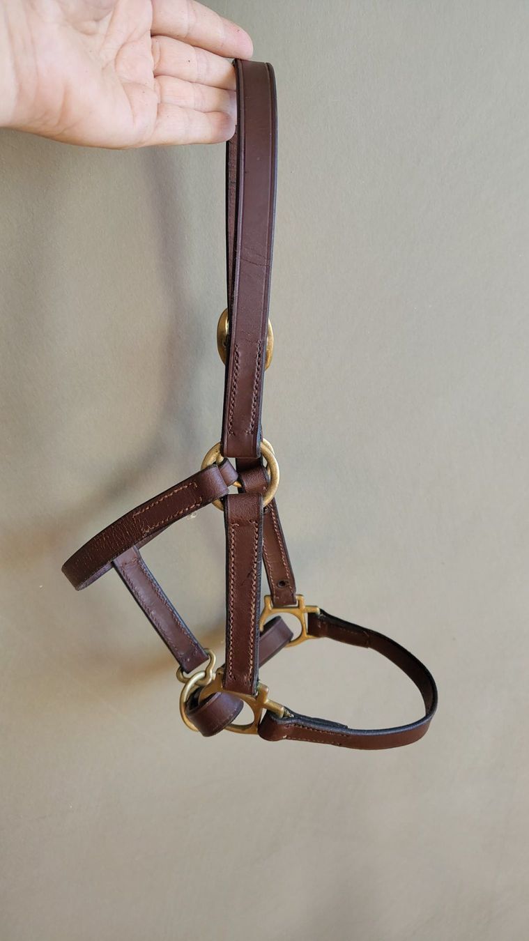 Briglie & Cavezze: Halfter Jungpferd/Pony, Leder – Usato da Emmenbrücke venduto da cla_sf98 1