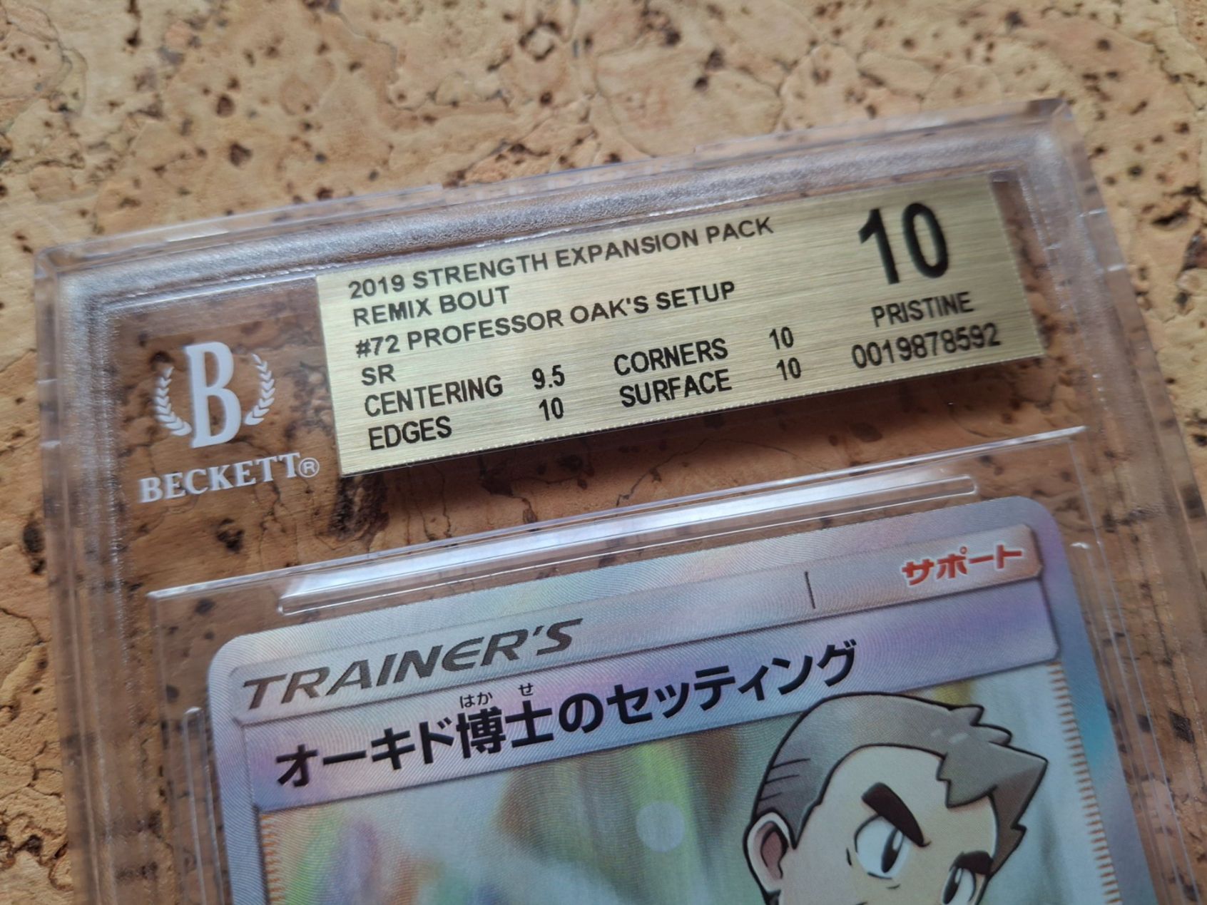 Pokémon Carte collezionabili: Pristine 10 Professor Oak's setup 72 (Eich) – Nuovo e nell'imballaggio originale da Charrat venduto da Magmar 1