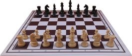 Turnier Schachfiguren-Schachplan klappbar 49 cmx49 cm-NEU!