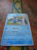 POKEMON  Cramorant   H  TWM EN  058/167   HP110   2024
