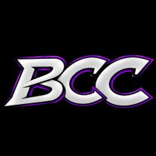 Profile image of BricksCardsCollects