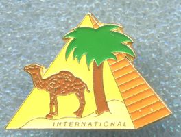 CAMEL  INTERNATIONAL
