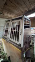 Caisse de transport pour chien