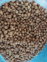 Kirschkerne Chriesistei 3 kg