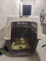 Hundetransportbox gross
