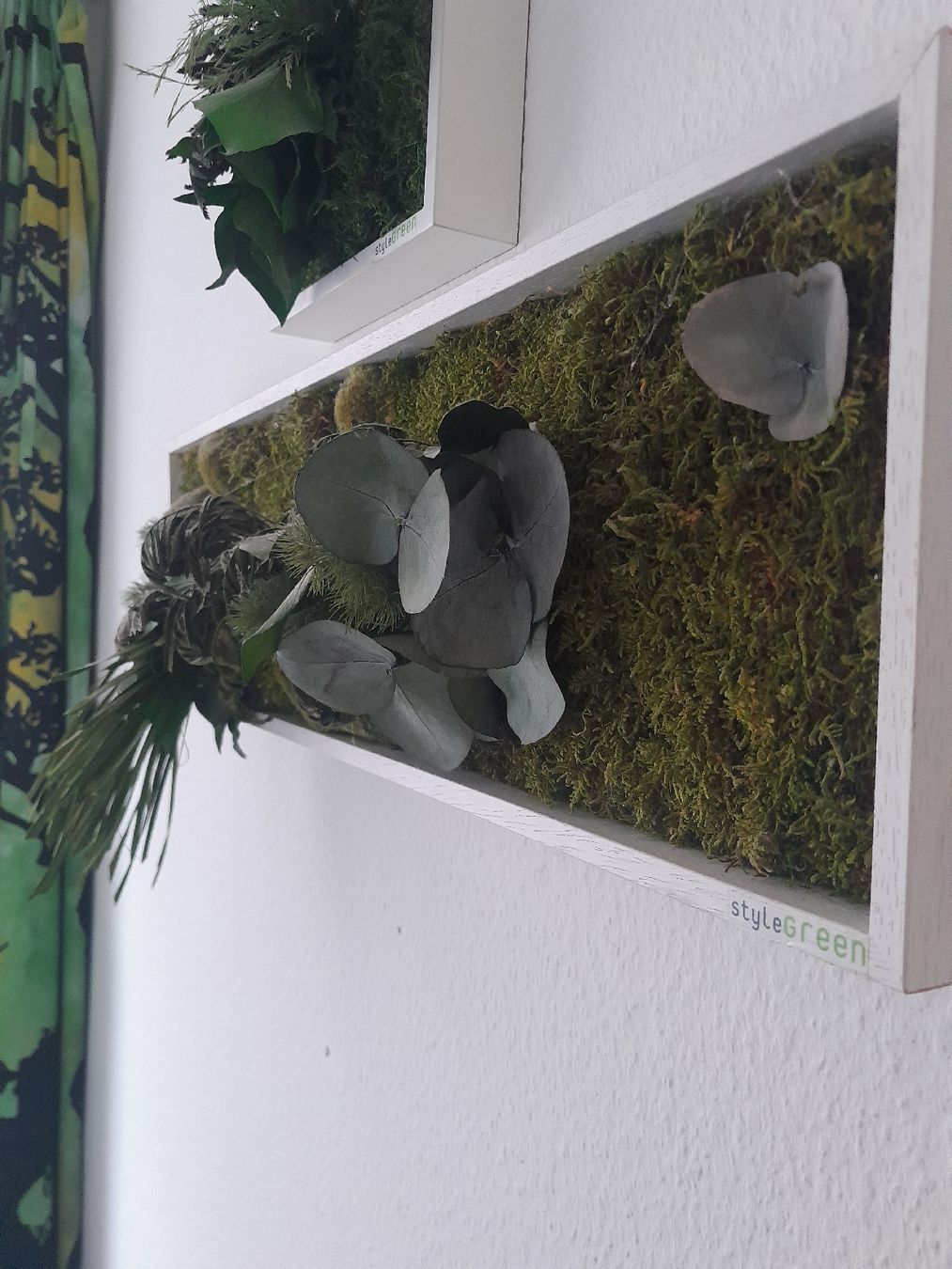 Foto & Immagini: Echtmoosbild von StyleGreen – Usato da Olten venduto da so.bi 1