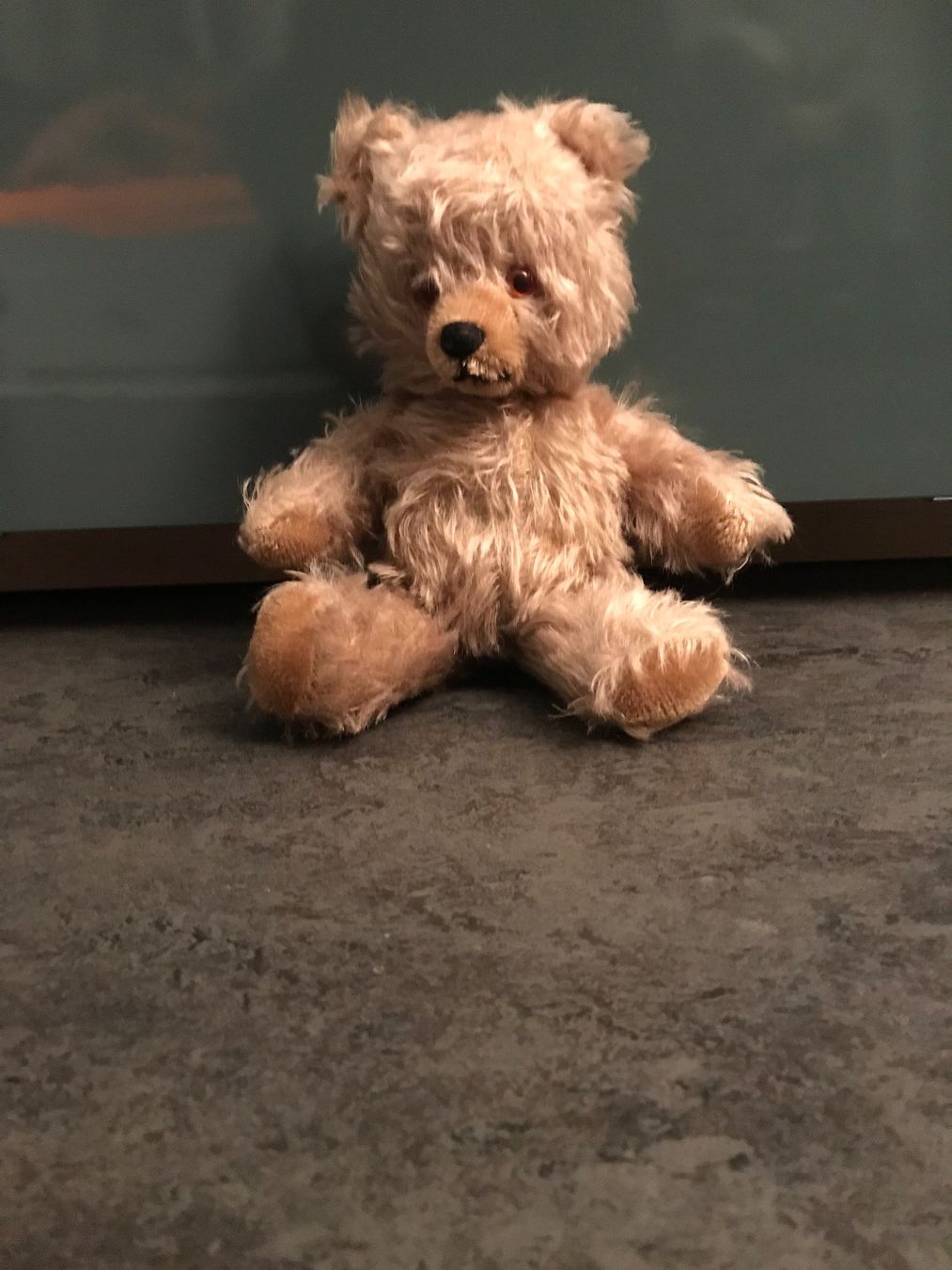 Welt der Tiere: Teddybär, original 50-er Jahre – Gebraucht aus Zürich von VictoriaV01 1