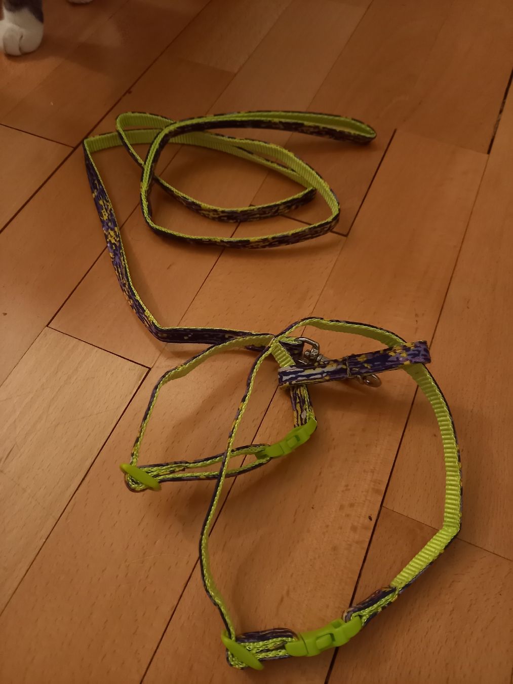 Leine & Halsband: Kleines Katzengeschirr oder Hundegeschirr – Gebraucht aus Bern von Coma0001 2