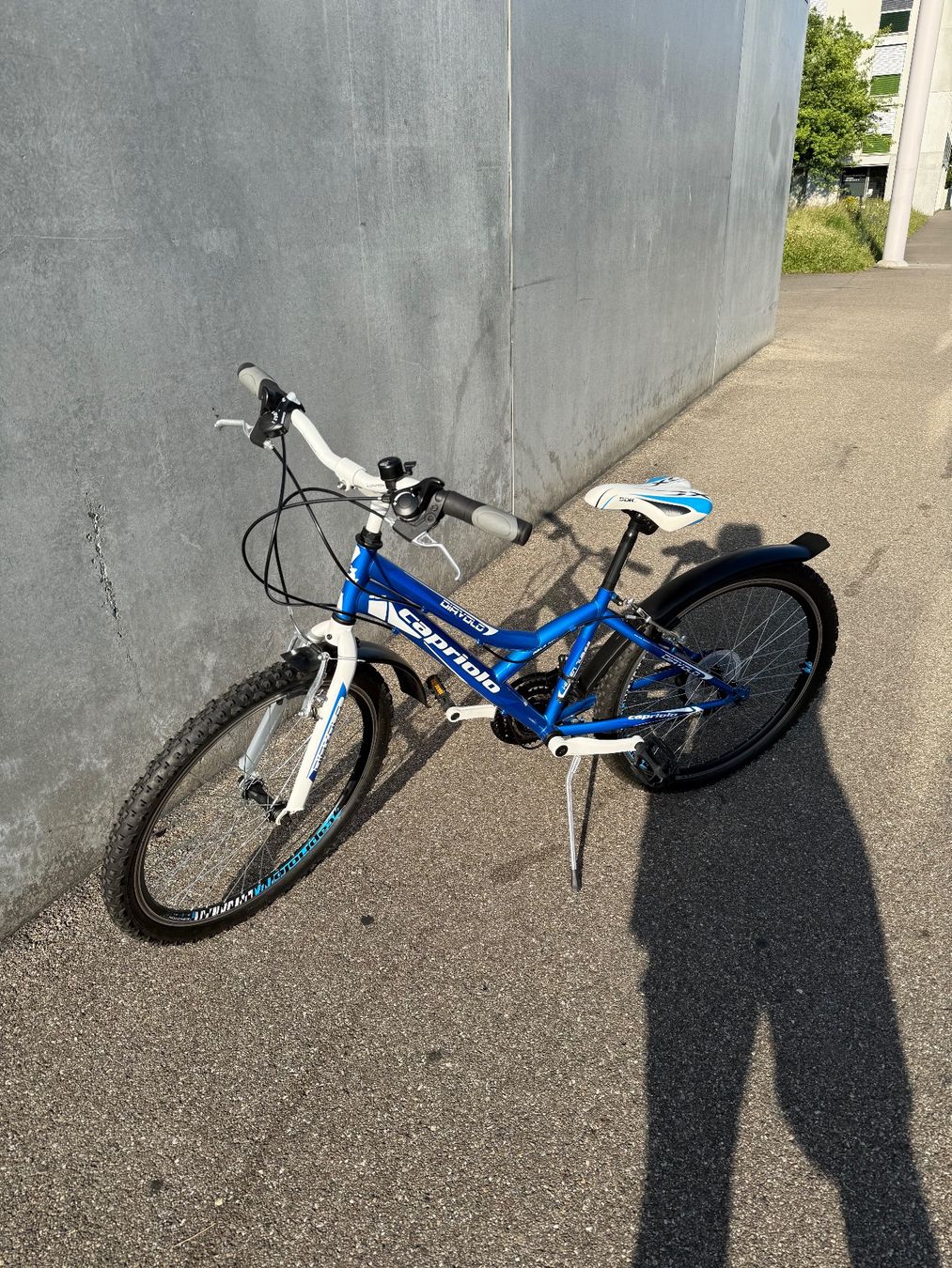 Velos: Capriolo DIAVOLO Velo – Gebraucht aus Zürich von Stutzv