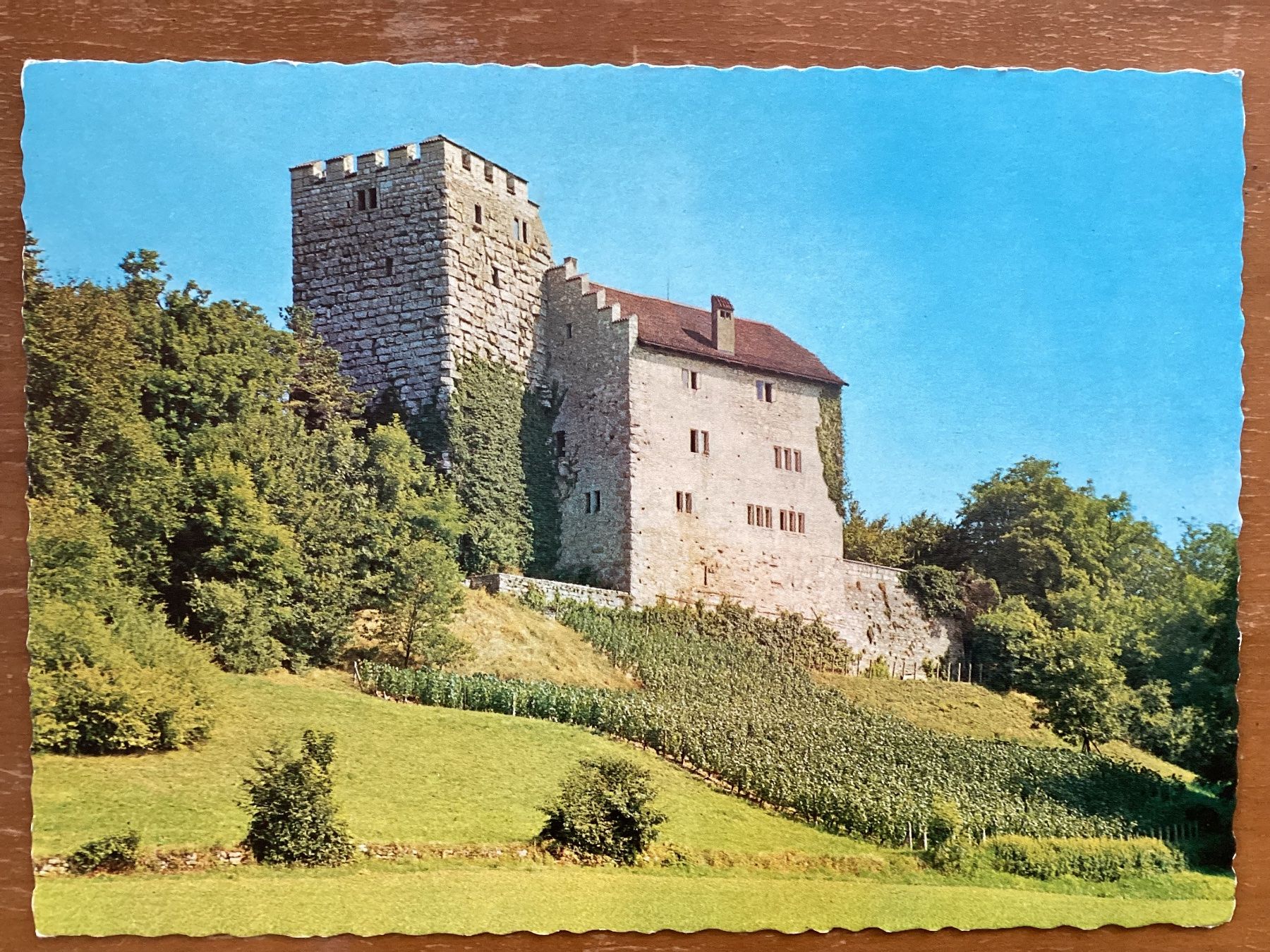 Cartes postales: AK Schloss Habsburg – D'occasion à Zürich par tol_b7c7