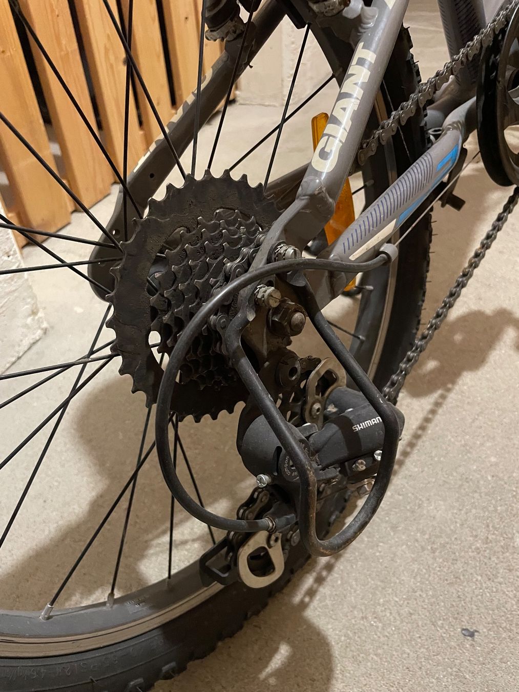 Giant Biciclette: Giant Kindervelo – Usato da Wängi venduto da pri_59tg 3