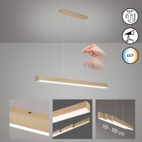 LED Pendelleuchte Sand, 119 cm x 13 cm