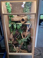 OSB Terrarium 150x60x60cm mit Zubehör ab 1.-