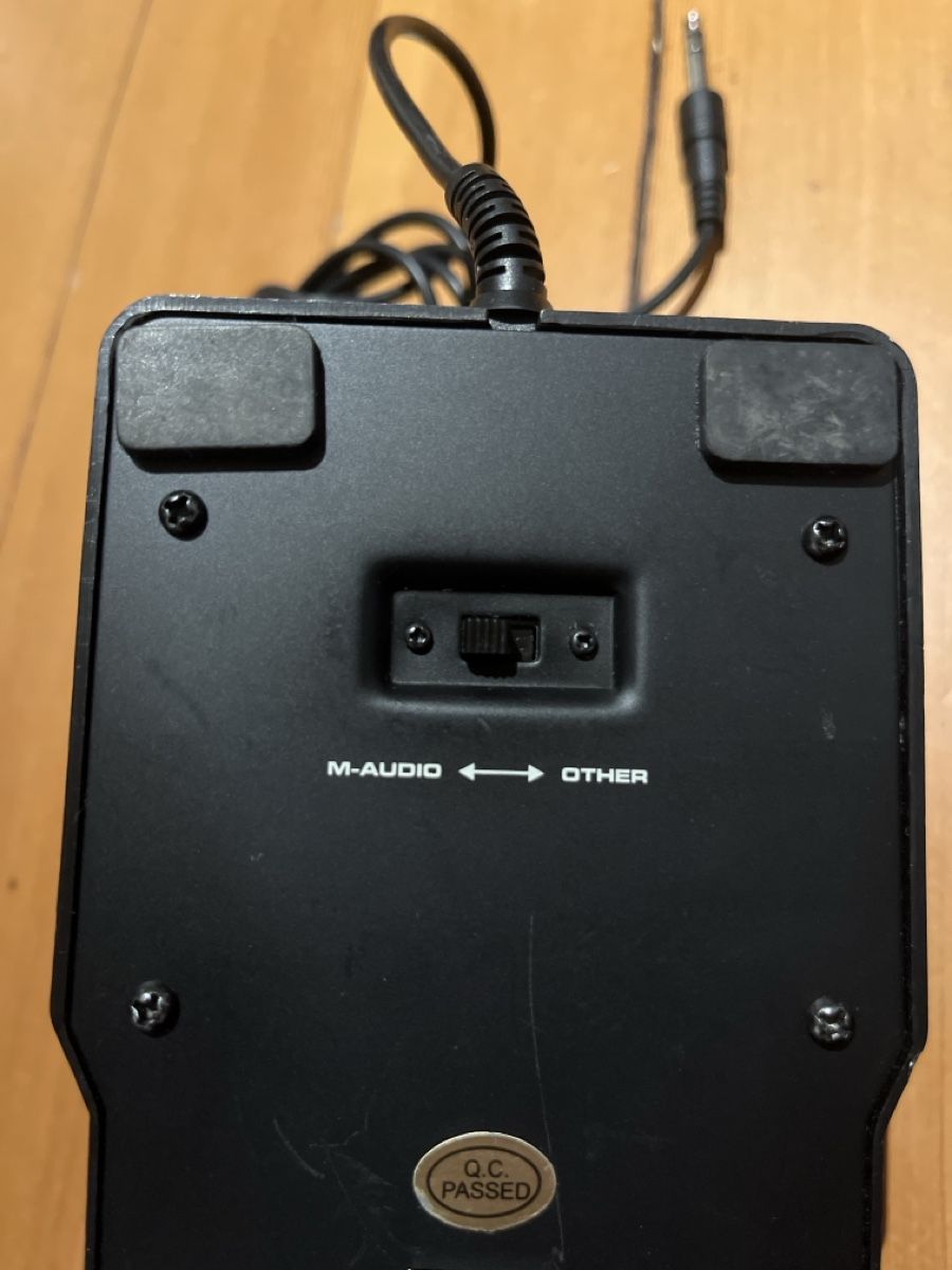 Strumenti musicali: M-Audio M-Gear EX-P Expression Pedal – Usato da Kriens venduto da linbin99 1
