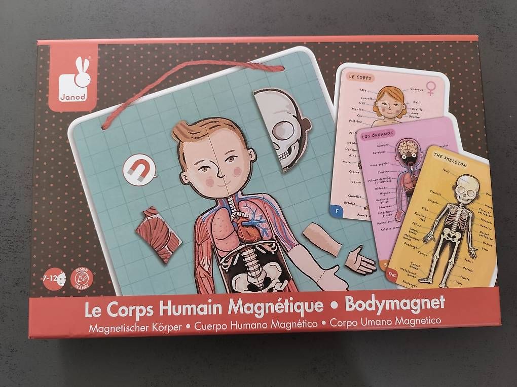 Giochi: Le corps humain magnétique Janod – Usato da Delémont venduto da emm_z2yb