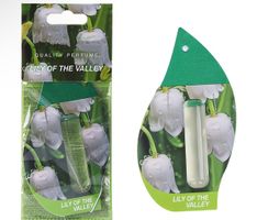 Duftbaum Wunderbaum Lily of the Valley
