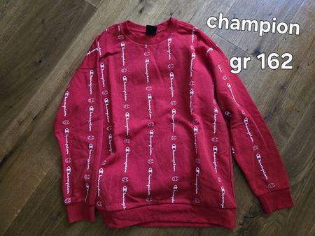 champion pullover kinder