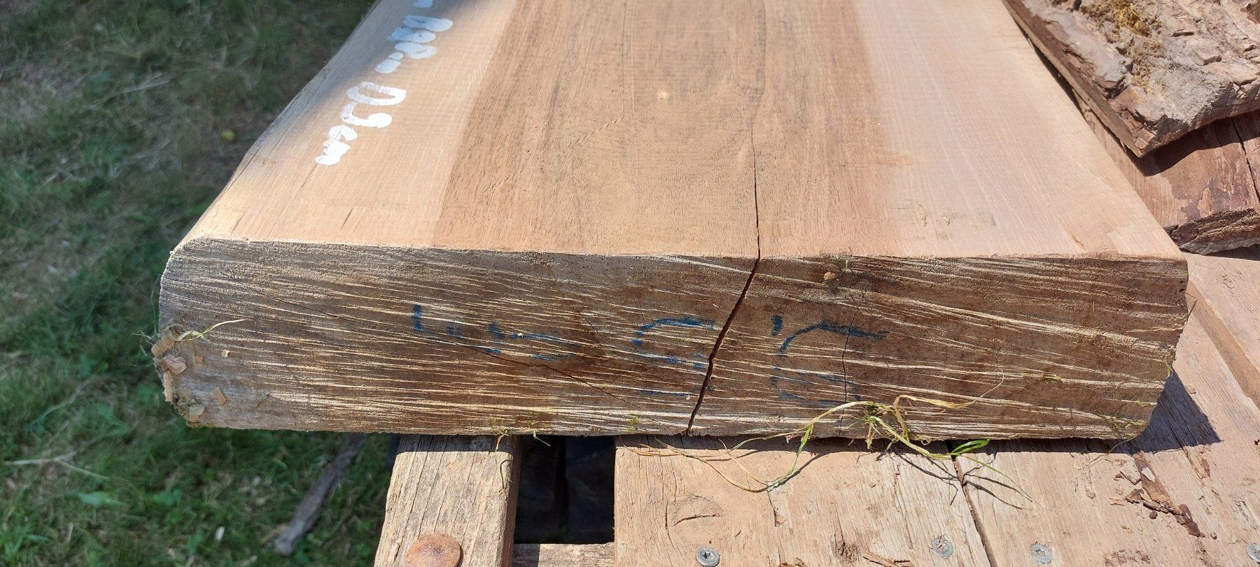 Articoli in legno: Schweizer Nussbaumholz – Difettoso da Giswil venduto da Stocki02 4
