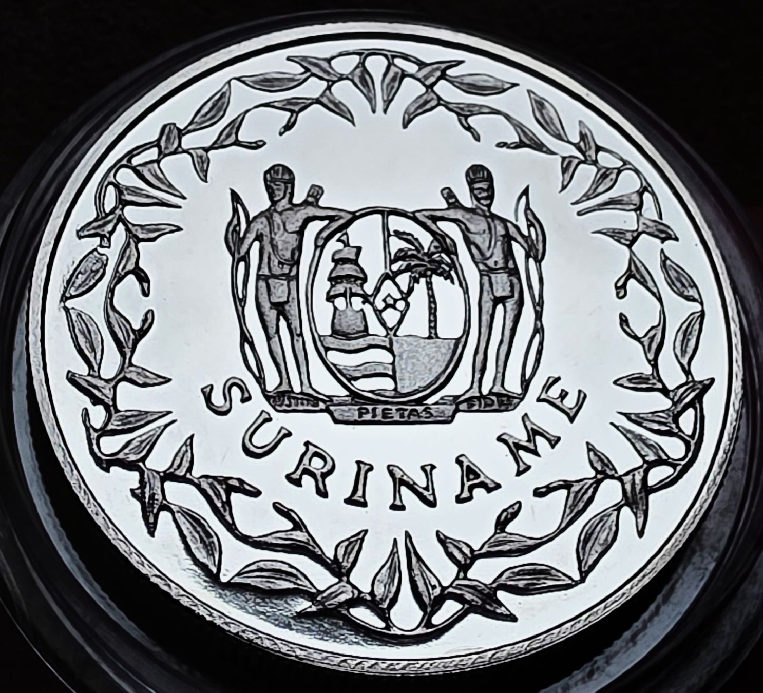 Tutti le monete: SURINAME 100 GULDEN 1996 UNZ. – Usato da Winterthur venduto da Creso70 1