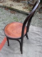 Antiker Bugholzstuhl im Thonet-Stil mit Dekorsitz