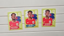 Panini Sticker Panama WM 2026 PAN