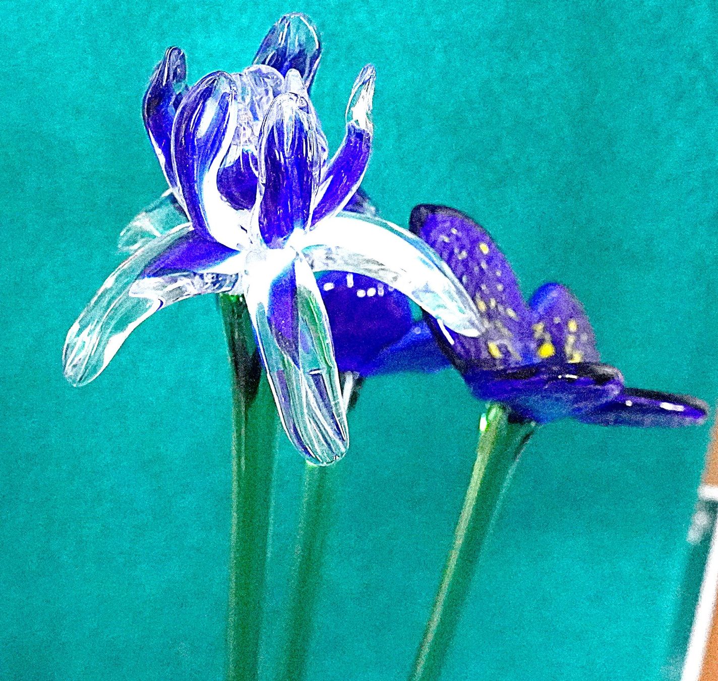 Murano Alle Dekorationen: Glasblumen Blumen aus Glas Murano – Neu (gemäss Beschreibung) aus Baar von 2cvbaar 5
