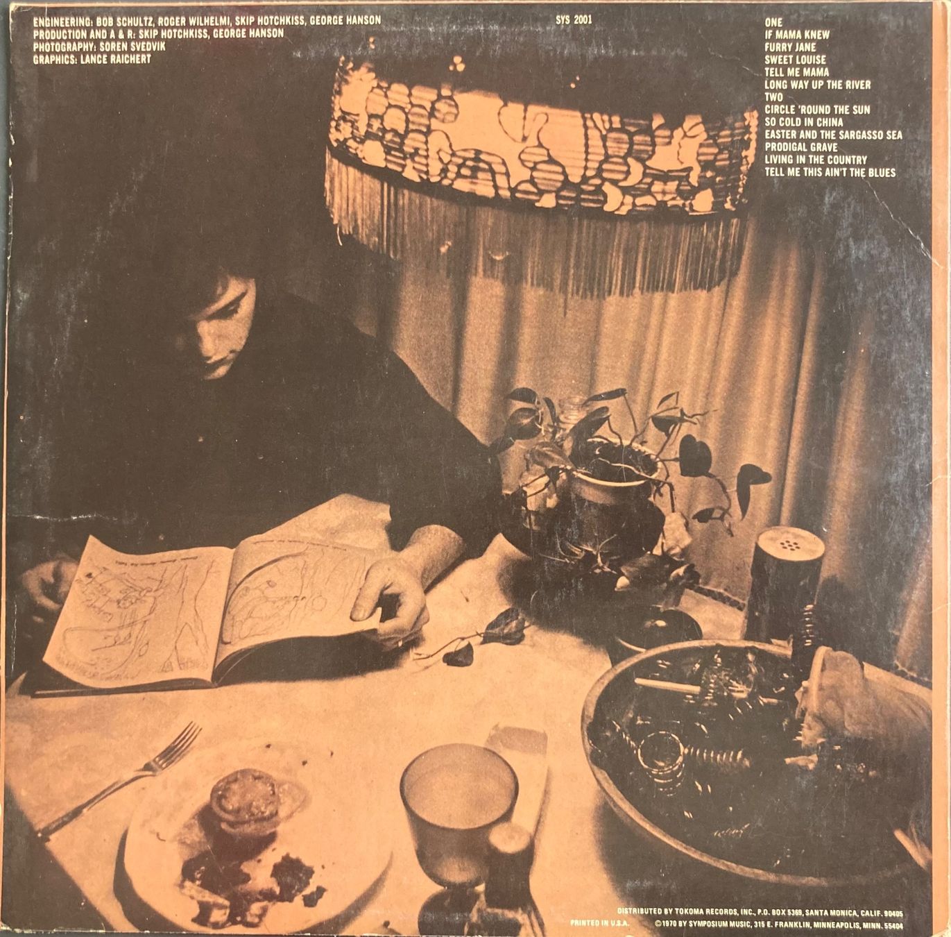 Vinyles: LEO KOTTKE - CIRCLE 'ROUND THE SUN – D'occasion à Poliez-Pittet par Newtown-Records 1