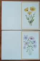 2 Stück Blumenkarten Neutral A6