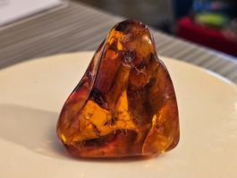 seltener baltischer Bernstein Heilstein 16g aus Polen Gdansk
