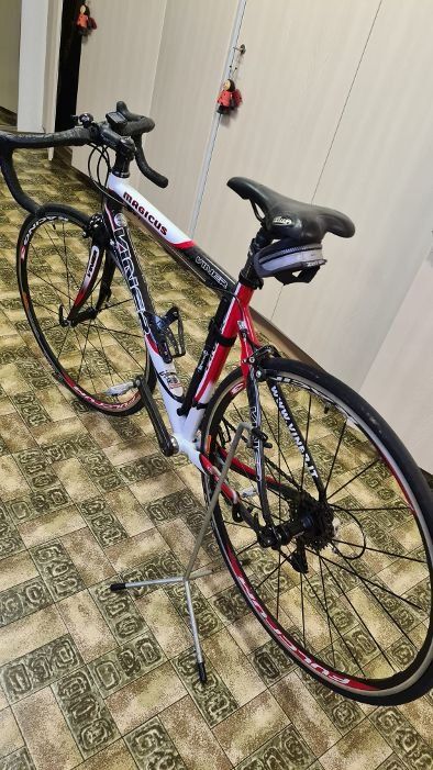 Velos: Top Rennrad Viner Magicus Carbon Gr. M – Gebraucht aus Schübelbach von Dolly990_2 2