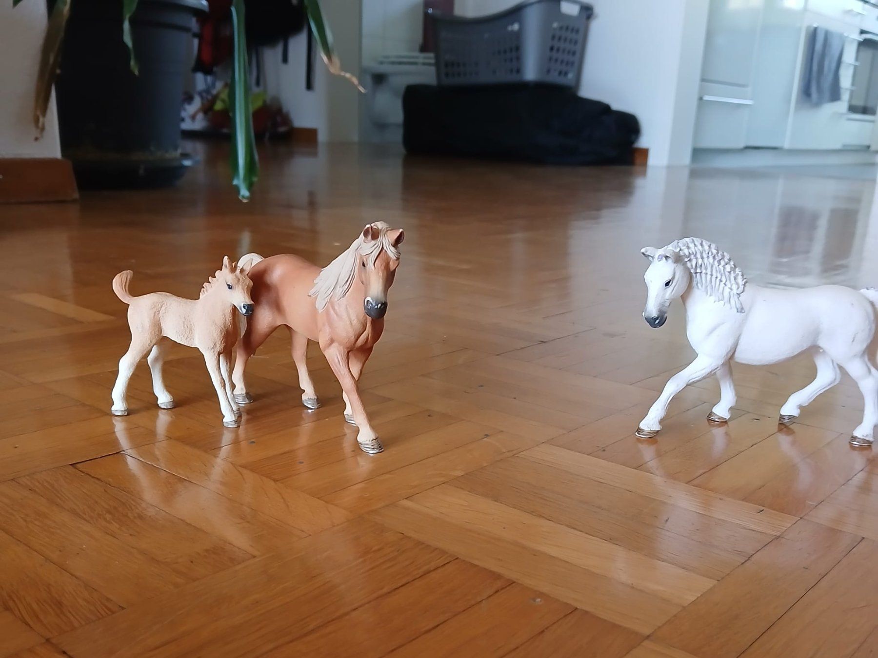 Schleich Giocattoli: Schleichfiguren – Usato da würenlos venduto da Jjjm