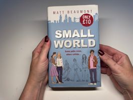 NOVEL: Matt Beaumont, Small world