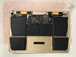 Apple Macbook Retina 12" Early 2016 Gold Unterseite DEFEKT