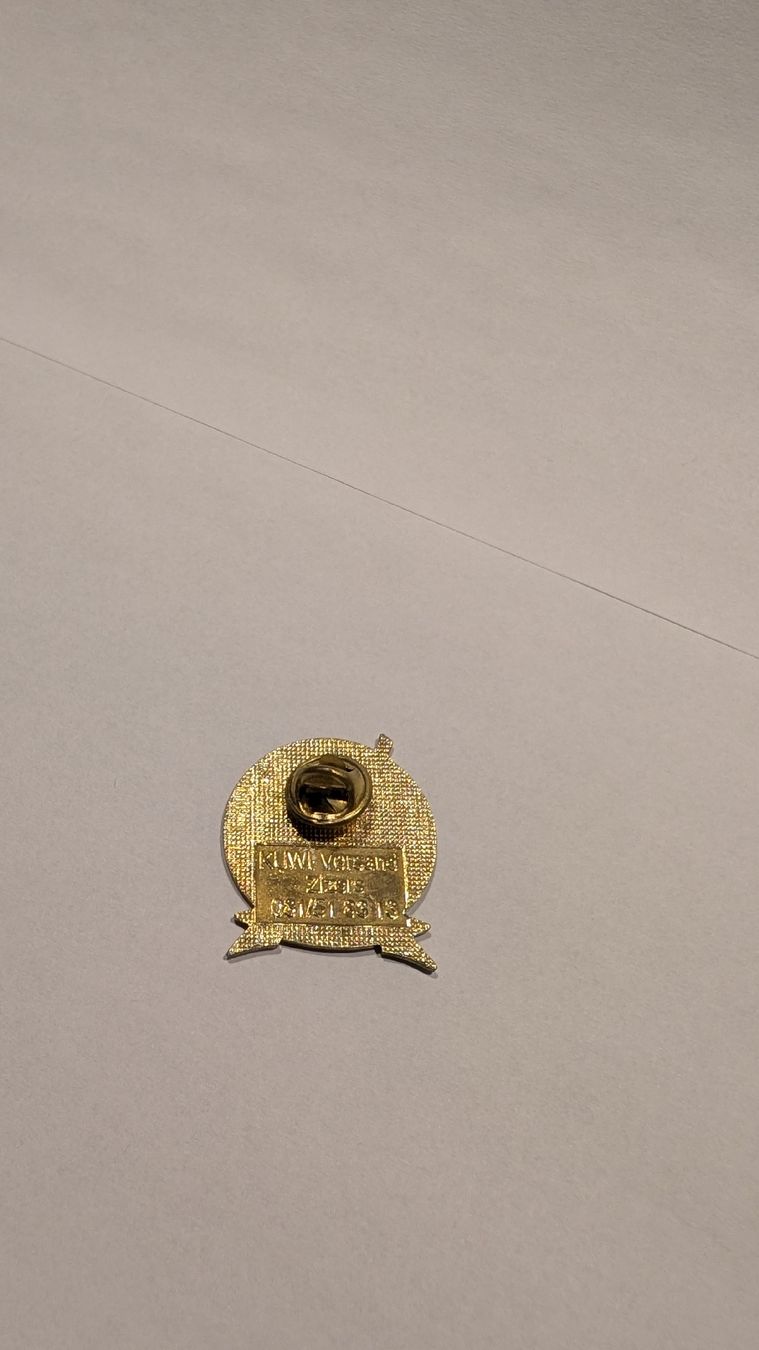 Placchette & Badge: Pin Berner Woche Volg – Nuovo (secondo la descrizione) da Olten venduto da NicoOnline 1
